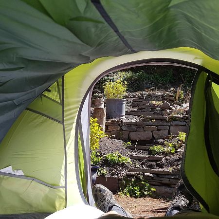 'Yellow Wood Micro Hostel-Eco Urban Bothy Style Very Basic But Cosy Redecorating But Cheap & Friendly Quiet Time Lockout 11Pm-7Am Bring Towel Or Hire ブレコン エクステリア 写真