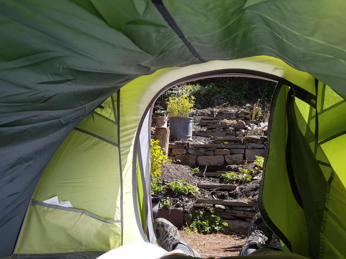 'Yellow Wood Micro Hostel-Eco Urban Bothy Style Very Basic But Cosy Redecorating But Cheap & Friendly Quiet Time Lockout 11Pm-7Am Bring Towel Or Hire ブレコン エクステリア 写真