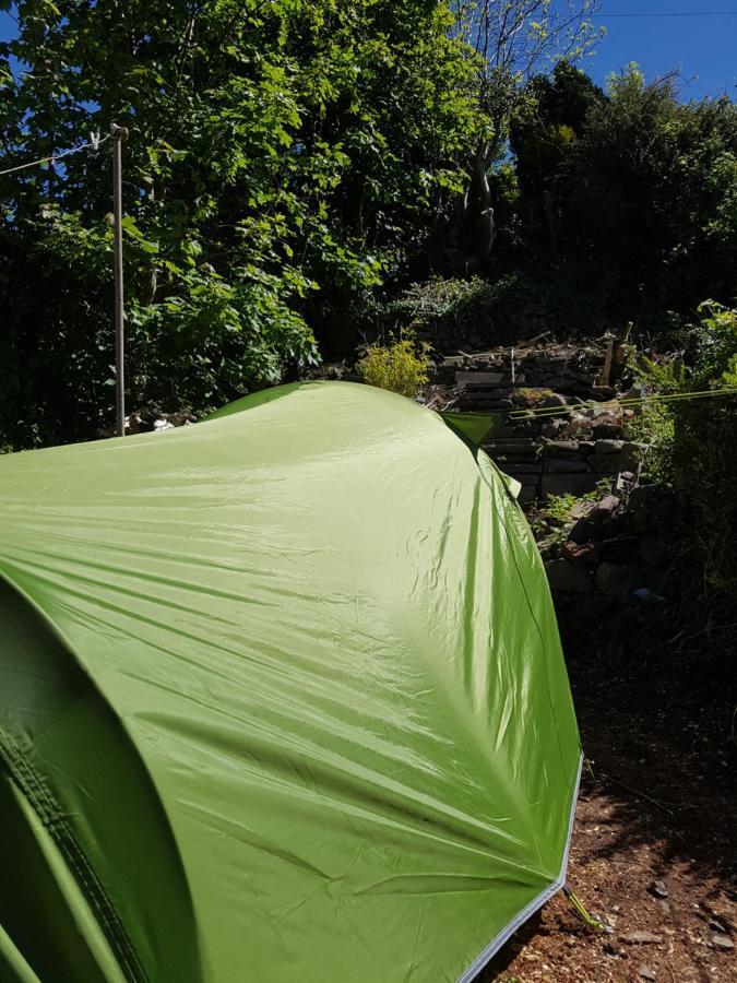 'Yellow Wood Micro Hostel-Eco Urban Bothy Style Very Basic But Cosy Redecorating But Cheap & Friendly Quiet Time Lockout 11Pm-7Am Bring Towel Or Hire ブレコン エクステリア 写真